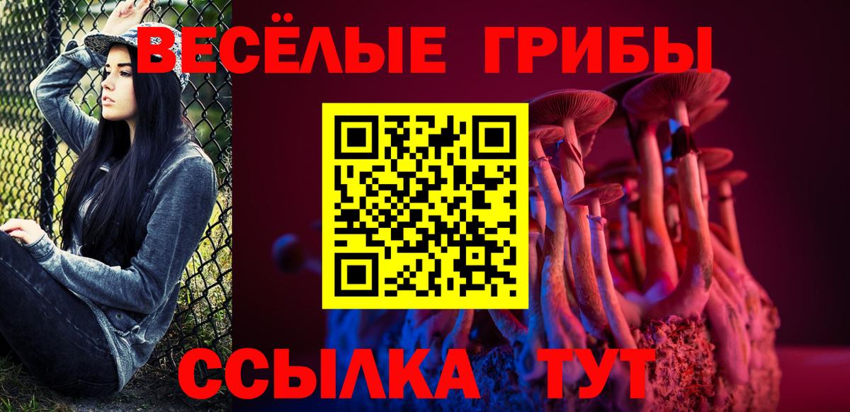 Соль-Илецк  Галлюциногенные грибы мицелий  Вход с VPN 